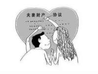 山东智掌网络科技有限公司