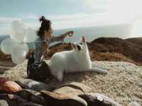 山东智掌网络科技有限公司