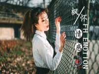 山东智掌网络科技有限公司