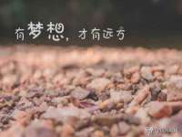 山东智掌网络科技有限公司