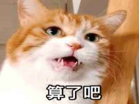 山东智掌网络科技有限公司