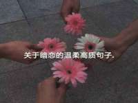 山东智掌网络科技有限公司