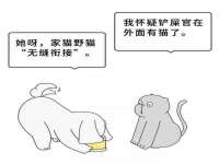 山东智掌网络科技有限公司
