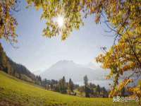 山东智掌网络科技有限公司