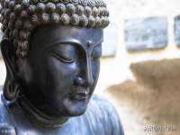 山东智掌网络科技有限公司