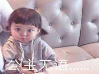 山东智掌网络科技有限公司
