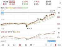 山东智掌网络科技有限公司