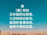 山东智掌网络科技有限公司
