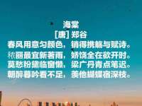 山东智掌网络科技有限公司
