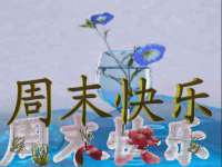 山东智掌网络科技有限公司