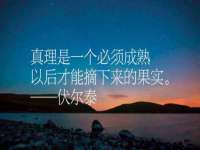 山东智掌网络科技有限公司