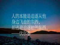 山东智掌网络科技有限公司