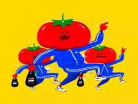 山东智掌网络科技有限公司