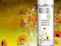 山东智掌网络科技有限公司