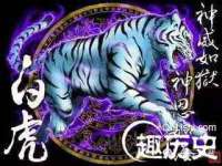 山东智掌网络科技有限公司