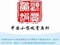 山东智掌网络科技有限公司