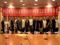 山东智掌网络科技有限公司