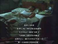 山东智掌网络科技有限公司