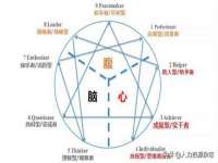 山东智掌网络科技有限公司