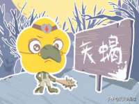 山东智掌网络科技有限公司