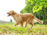 山东智掌网络科技有限公司
