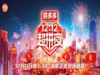 山东智掌网络科技有限公司