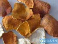 山东智掌网络科技有限公司
