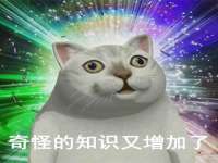 山东智掌网络科技有限公司