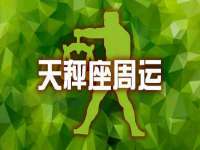 山东智掌网络科技有限公司