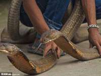 山东智掌网络科技有限公司